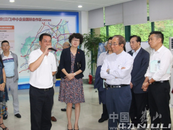 牛力 &ldquo;推動園區擴能增效，提升產業聚集能力&rdquo;開展專題協商